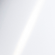 Ʈ