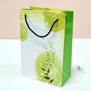 ⼺ ̼ι 7ȣ(ʷ) (1-100EA)(150x70x230mm)