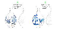 μ þ ̹ 7569
