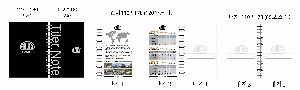 ø Ʈ | ī_ø