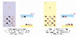 μ þ ̹ 21338