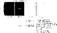 μ þ ̹ 24785