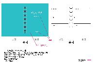 μ þ ̹ 35303