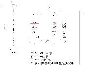 ڽ  | Įڽ_ۿ3 335X240X75mm