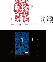 μ þ ̹ 44286