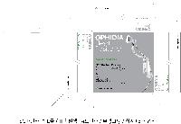 ڽ  | Į  ڽ 300*250*50mm