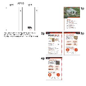 ̾ | 2026 AP10  ̾ 25 Ϸ 1P