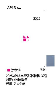 ̾ | 2026 AP13  ̾ 32